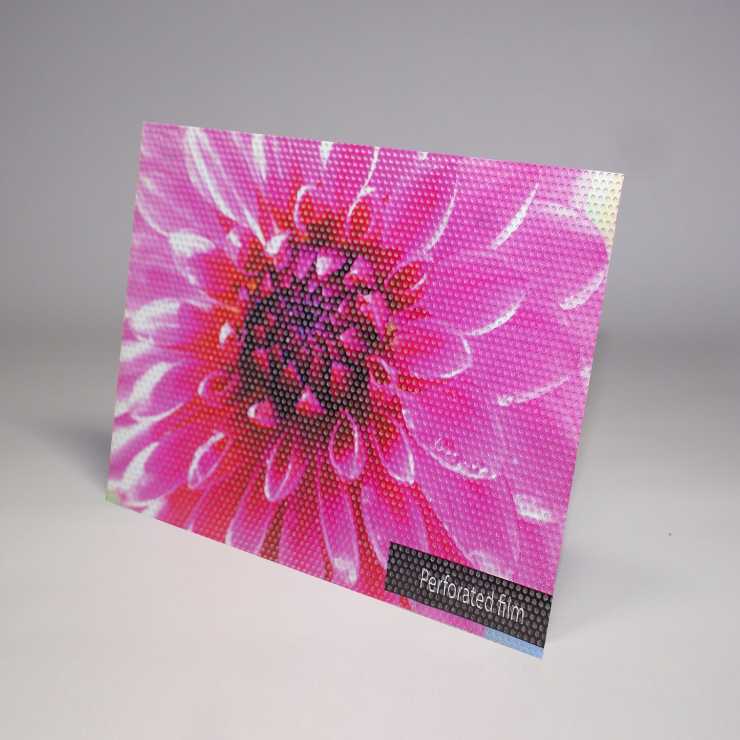 Custom Perforated Window Film Printing - Print with Provision