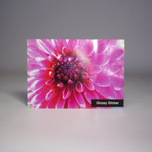 Custom Glossy Vinyl Sticker Prints - Print with Provision