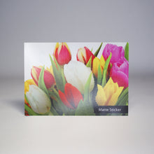 Custom Matte Vinyl Sticker Prints - Print with Provision