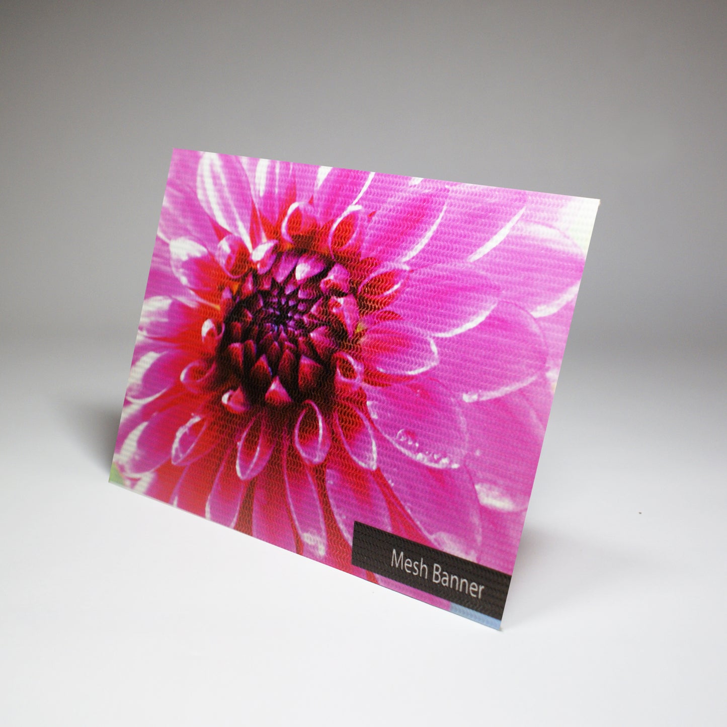 Custom Mesh Vinyl Banner Printing - Print with Provision