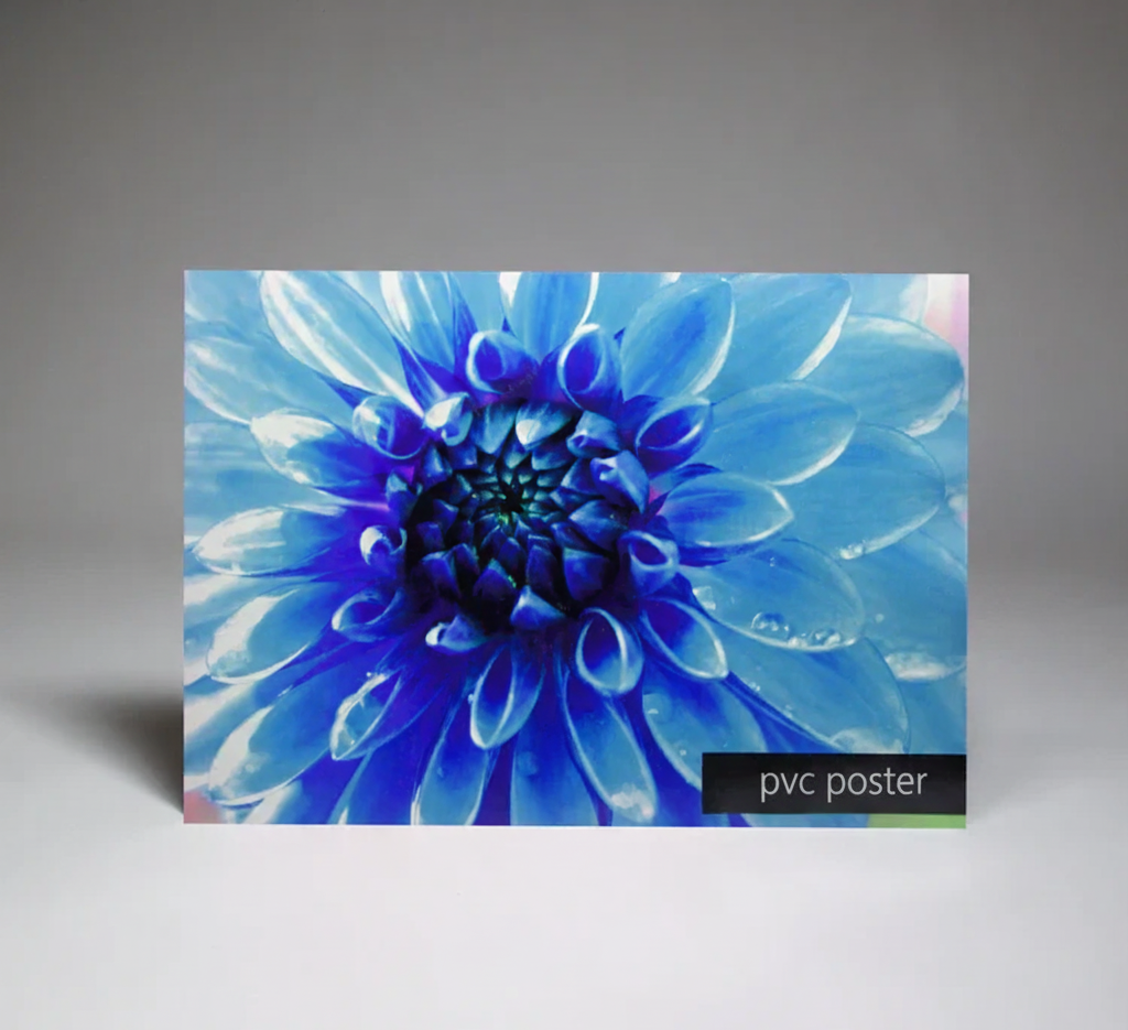PVC poster with a blue flower design on a gray background